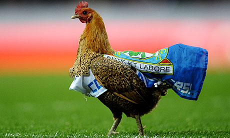 Blackburn Rovers chicken