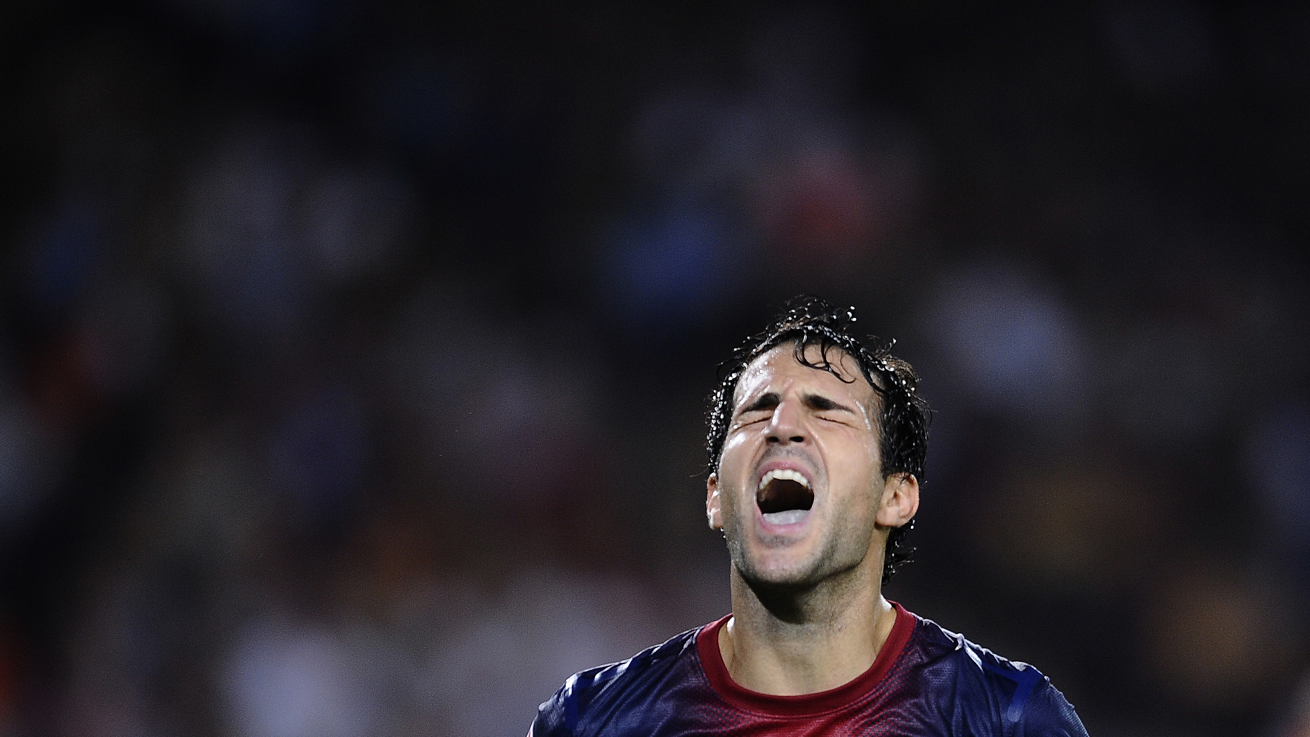 F&agrave;bregas quer ficar no Barcelona e tem raz&atilde;o para isso