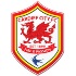_60906327_cardiffcrest2