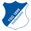 Hoffenheim escudo