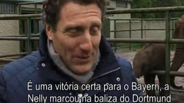 A final da Liga dos Campe&otilde;es de 2013 tamb&eacute;m foi alvo de animais videntes