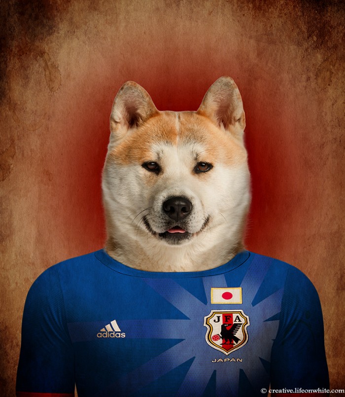 Jap&atilde;o: Akita Inu
