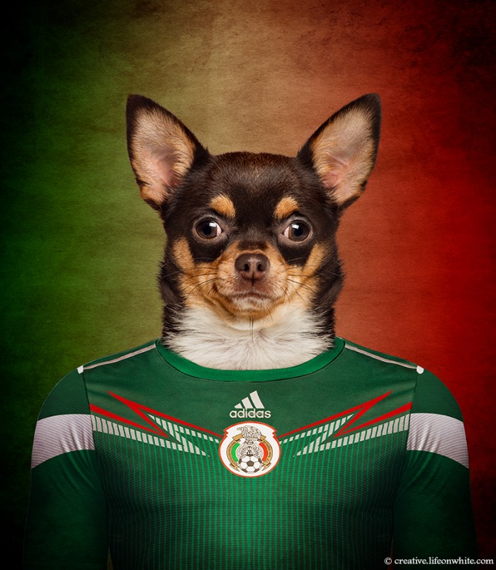 M&eacute;xico: Chihuahua