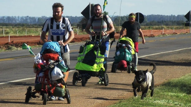 Negro, el perro mundialista, vai reencontrar seu dono em Porto Alegre