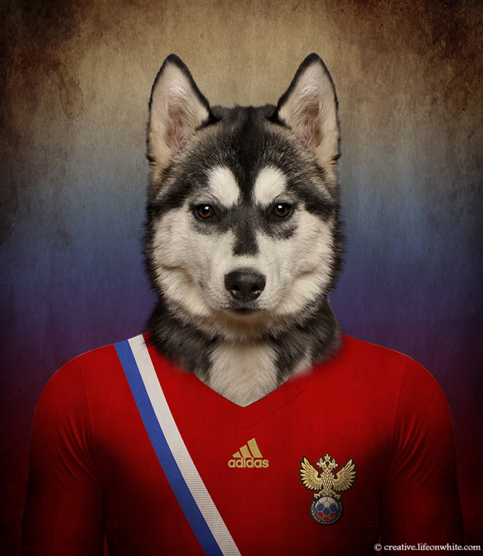 R&uacute;ssia: Husky Siberiano