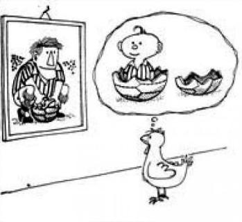 quino_1