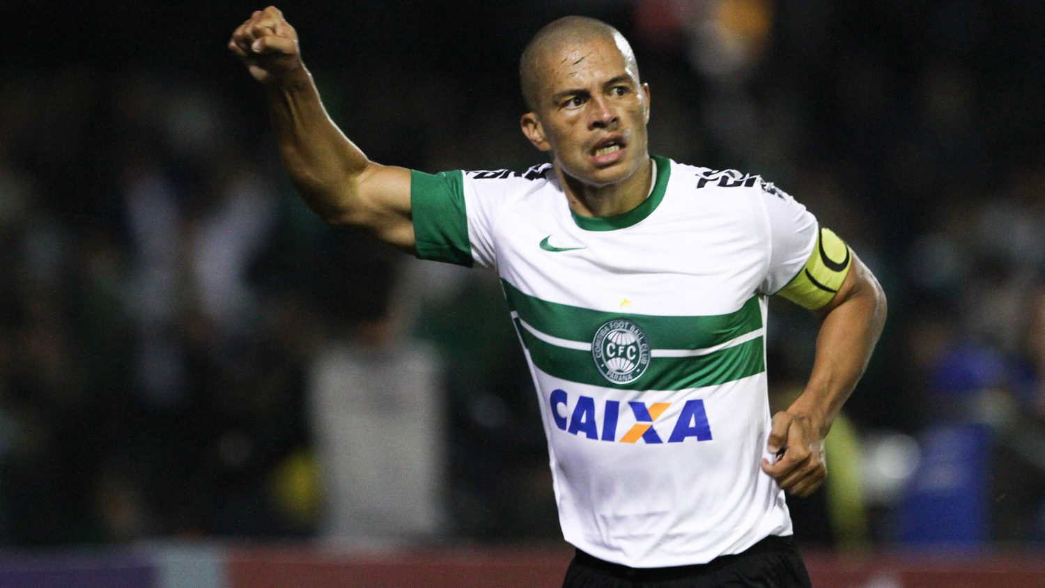 As coisas mais brilhantes que lemos hoje