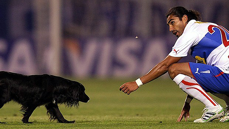Cachorro conversa com jogador da Universidad Cat&oacute;lica