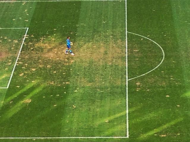 O gramado do Palestra para Palmeiras x Internacional