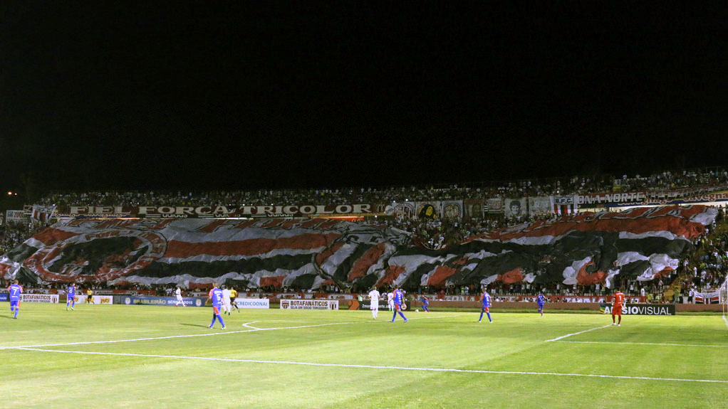 Mosaico da torcida do Botafogo em Ribeir&atilde;o Preto (Foto: Rog&eacute;rio Moroti/Ag&ecirc;ncia Botafogo)