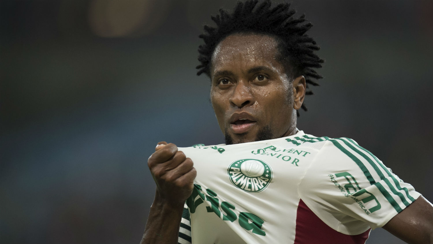 Z&eacute; Roberto comemora o gol que mant&eacute;m o Palmeiras vivo na Copa do Brasil (Foto: Jorge Rodrigues)