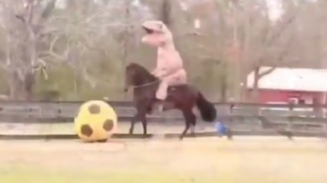 Eu juro: esse é Asprilla ensinando seu cavalo a jogar futebol vestido de dinossauro
