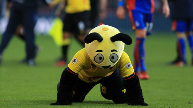 Mascote do Watford achou um jeito genial de provocar Zaha ap&oacute;s tentativa de cavar p&ecirc;nalti