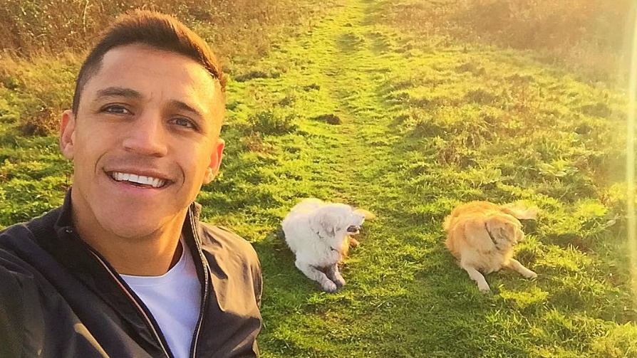 Torcedores do Arsenal acharam um jeito de persuadir S&aacute;nchez a ficar: homenageando seus c&atilde;es