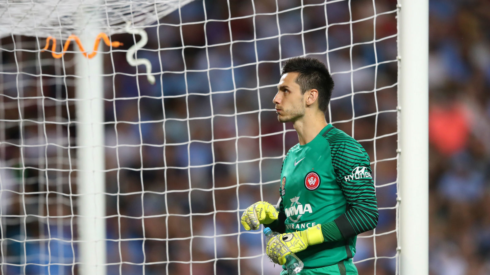 Para provocar goleiro &ldquo;traidor&rdquo; que foi para o rival, torcida atira cobras de borracha