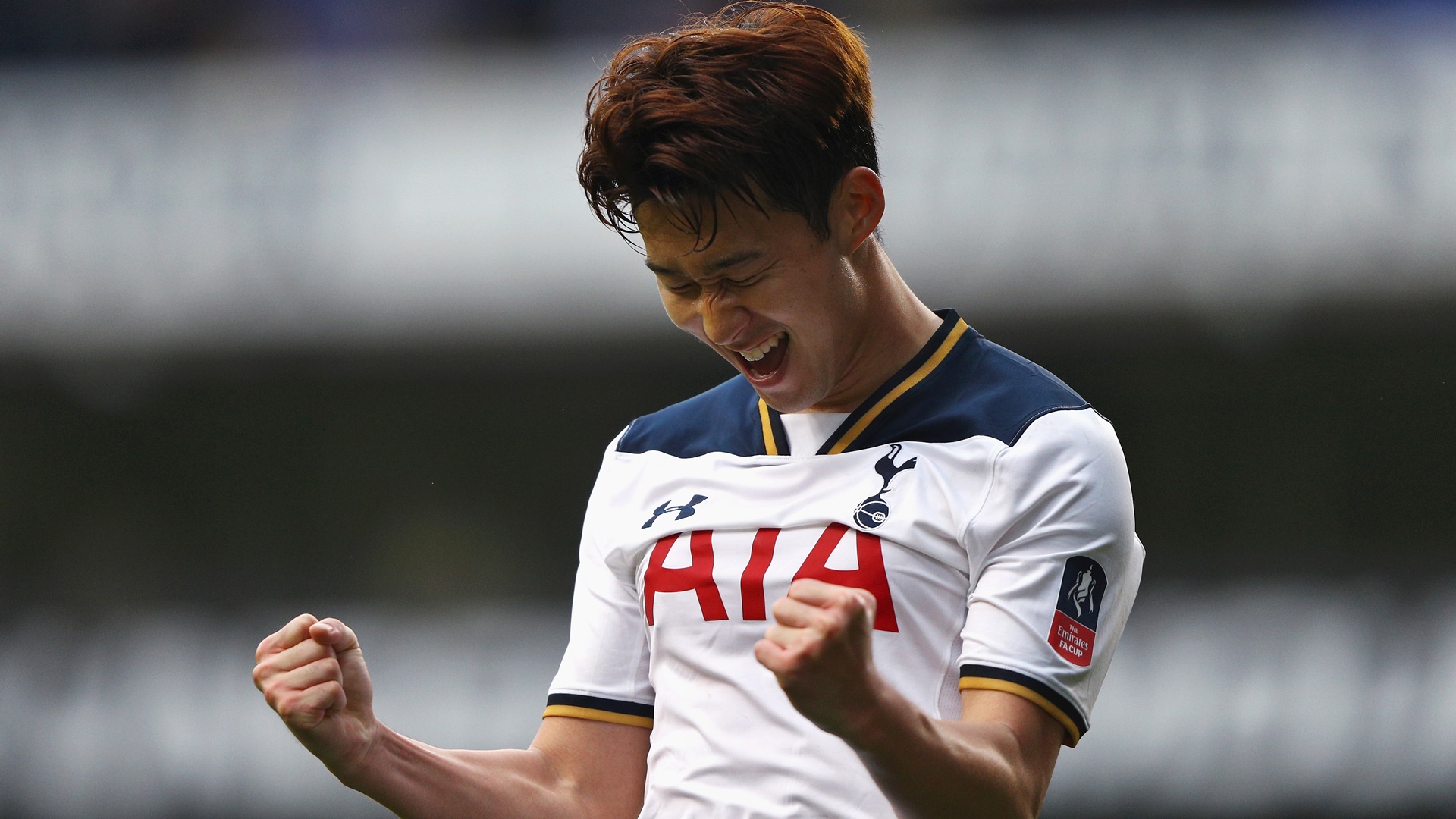 O Tottenham n&atilde;o encontrou pedras em seu caminho para esmagar o Millwall em busca da ta&ccedil;a