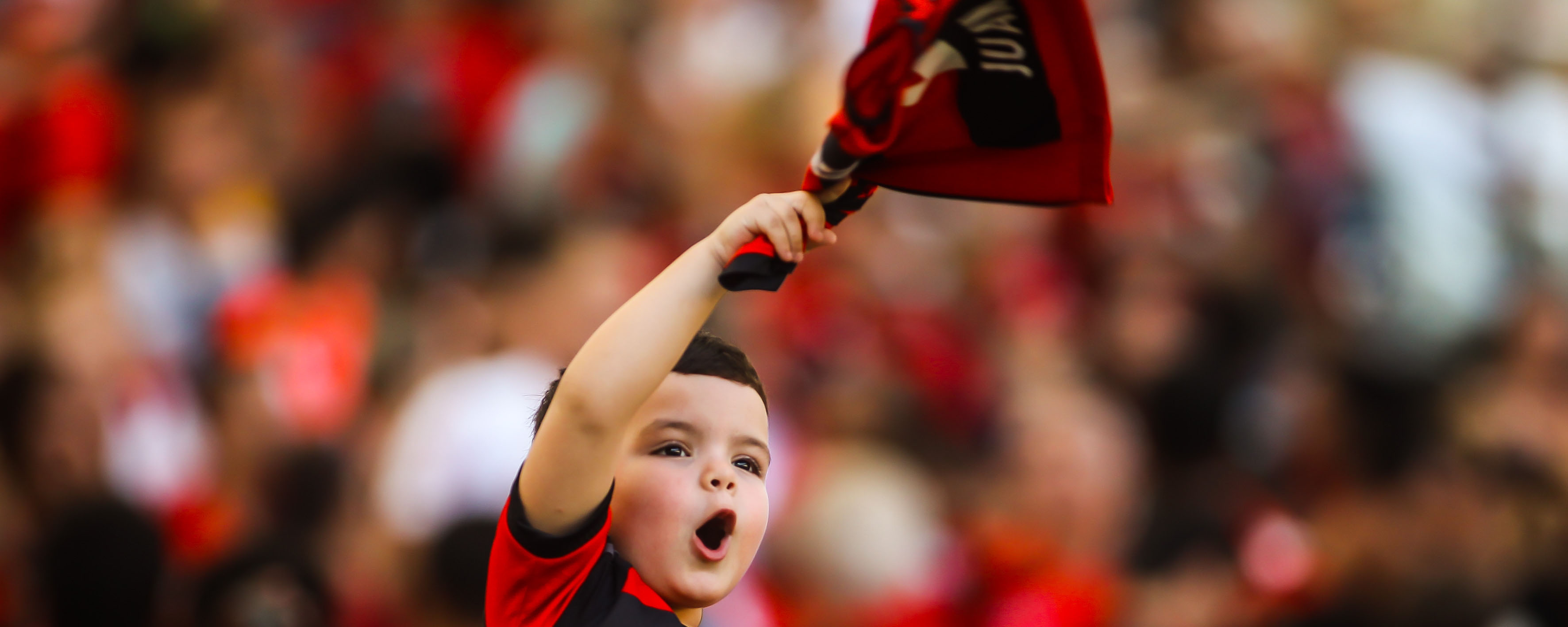 Guia dos Torcedores para o Brasileir&atilde;o 2017