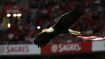 Benfica recusa empréstimo de águia para inauguração de estádio do AEK Atenas
