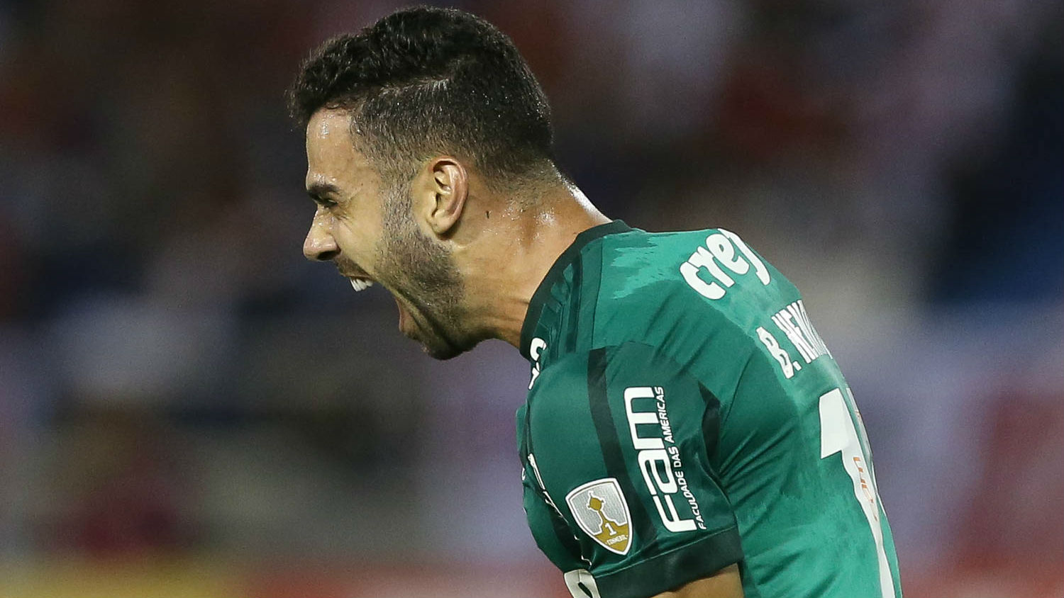 Expuls&atilde;o facilitou a vida do Palmeiras que, apesar das dificuldades, teve um &oacute;timo resultado