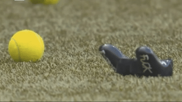 O Young Boys goleou o Basel por 7 a 1 e, acredite, sua torcida protestou (por outros motivos) na partida