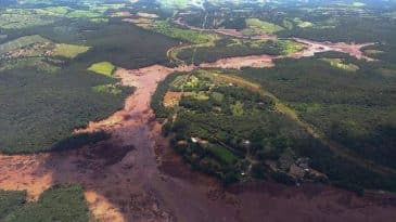 Clubes mineiros se mobilizam por Brumadinho e Cruzeiro doa dinheiro arrecadado com ingressos antecipados ao clássico