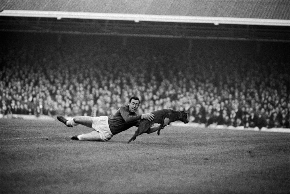 Uma cole&ccedil;&atilde;o de voos e outras fotografias fant&aacute;sticas de Gordon Banks