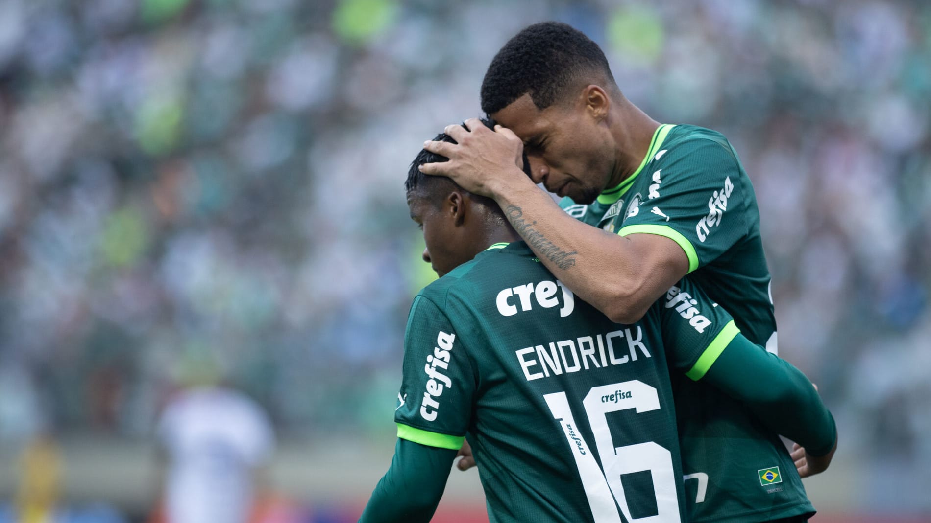 Guia Libertadores 2023 &ndash; Grupo C: Palmeiras, Cerro Porte&ntilde;o, Barcelona-EQU e Bol&iacute;var