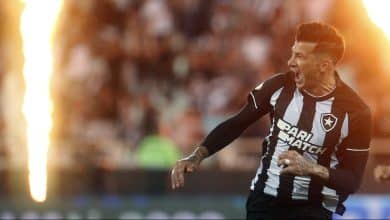 Num s&aacute;bado fren&eacute;tico do Brasileir&atilde;o, o Botafogo se firmou mais na lideran&ccedil;a e o S&atilde;o Paulo alcan&ccedil;ou uma vit&oacute;ria eletrizante