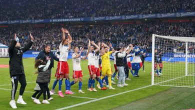 O Hamburgo chega &agrave; rodada final com chances de acesso direto e se garante ao menos nos playoffs