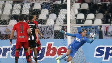 Gatito Fern&aacute;ndez volta ap&oacute;s mais de 250 dias e traz &oacute;tima not&iacute;cia para o Botafogo