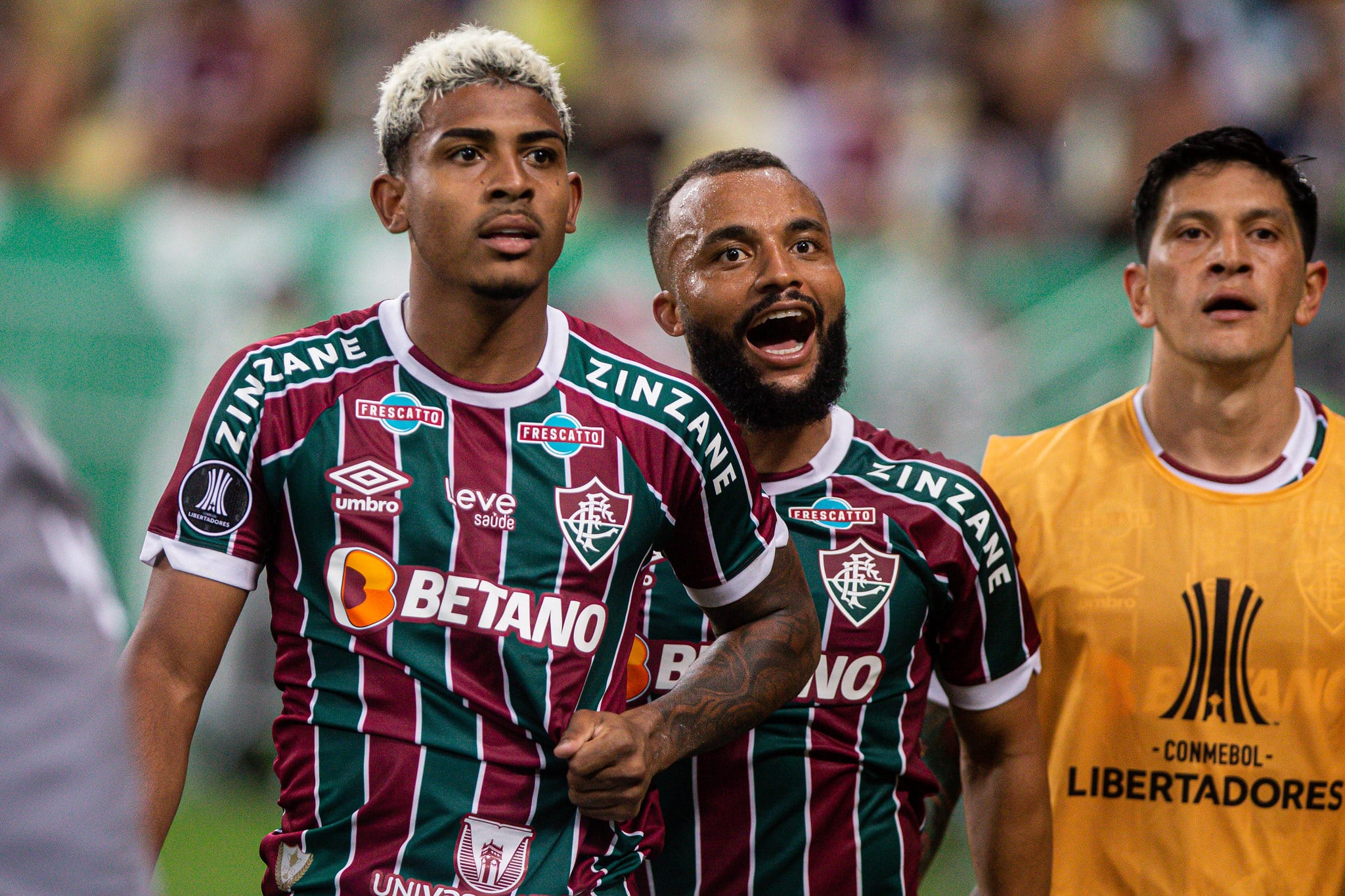 Fluminense avan&ccedil;a, mas Libertadores volta a dar li&ccedil;&otilde;es ao time de Diniz
