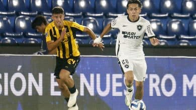 Botafogo roda elenco, faz partida segura e avan&ccedil;a na Copa Sul-Americana