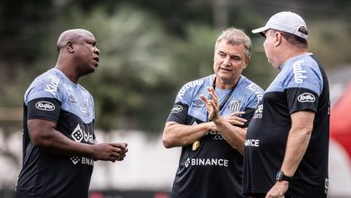 Torcida do Santos tem cinco motivos para acreditar na vit&oacute;ria sobre o Gr&ecirc;mio