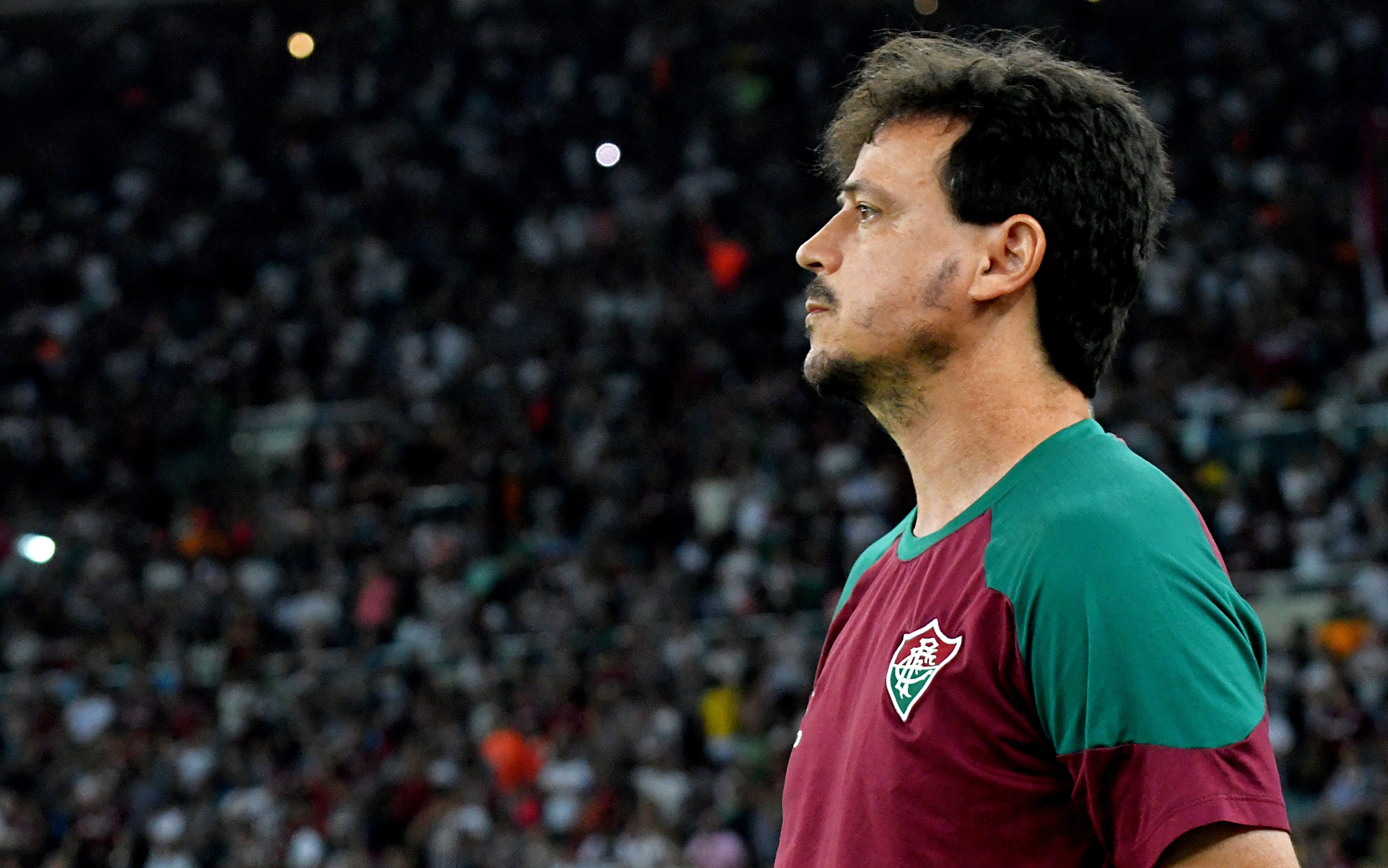 Diniz e Fluminense finalmente vencem Abel, e Palmeiras v&ecirc; Brasileir&atilde;o longe