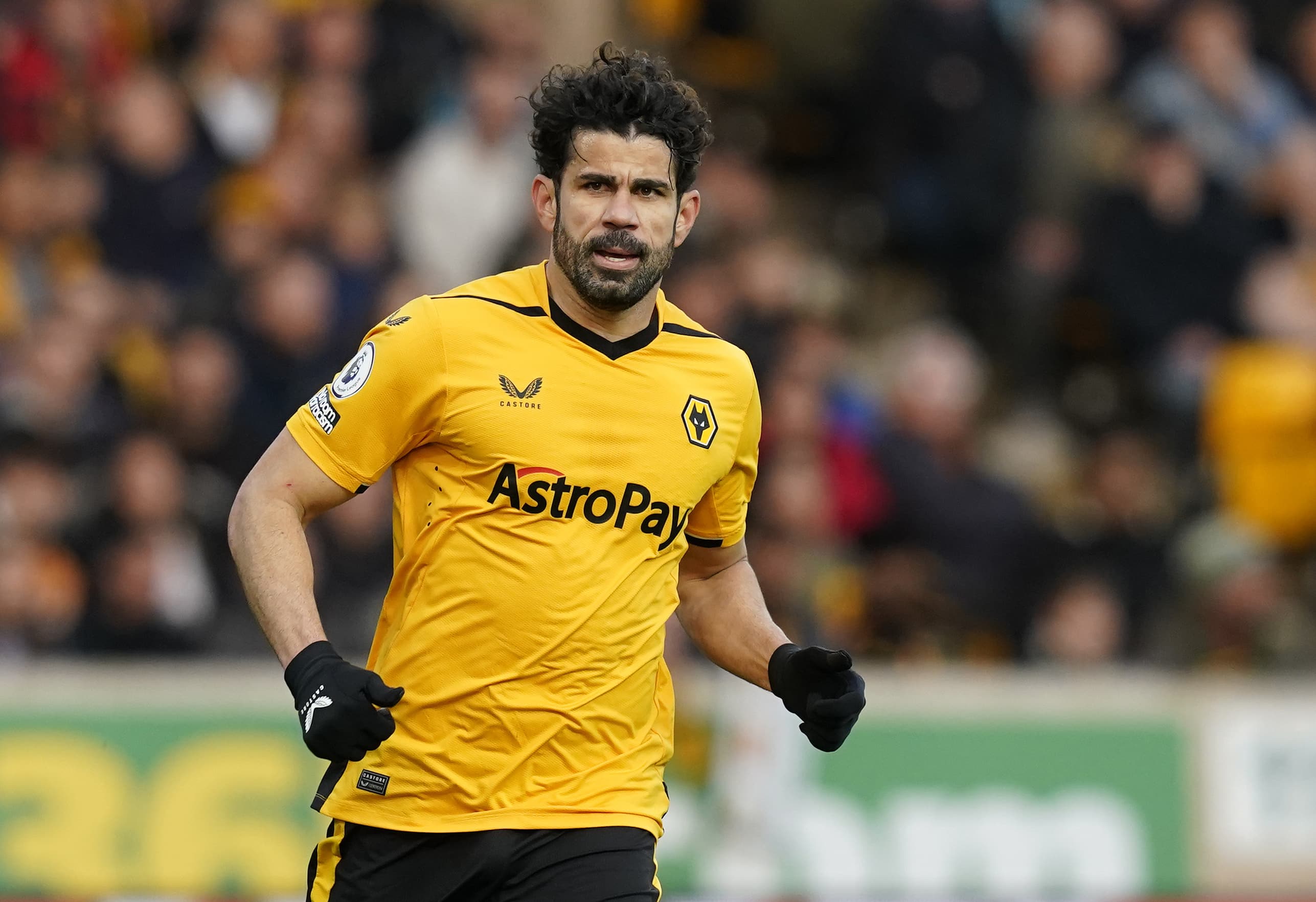 Botafogo: Diego Costa ter&aacute; que vencer desconfian&ccedil;a para substituir Tiquinho Soares