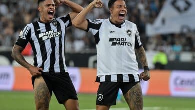 Botafogo sela 1&ordm; turno quase perfeito com vit&oacute;ria sobre o Internacional