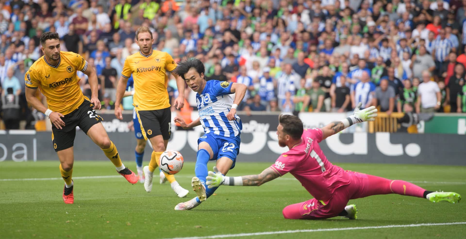 Mitoma enfileirou a defesa do Wolverhampton e o Brighton deu outro espet&aacute;culo