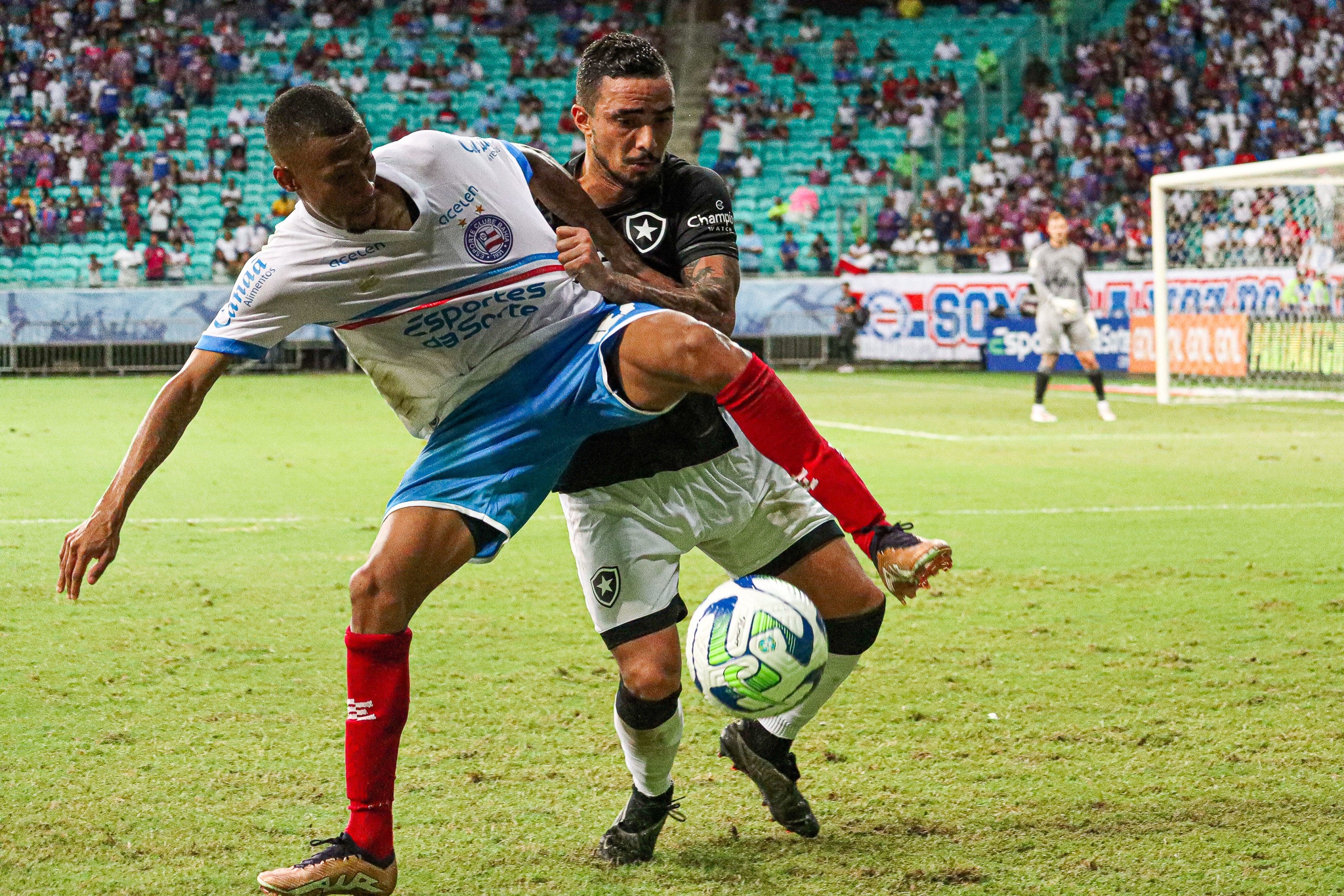 Onde assistir ao vivo Botafogo x Bahia &ndash; Campeonato Brasileiro &ndash; 27/08/2023