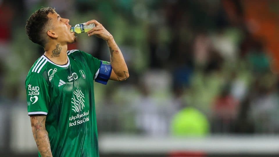 O projeto da Arábia Saudita ainda levanta mais dúvidas que certezas