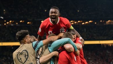 &Aacute;ustria segue invicta e encaminha vaga na Euro com grande vit&oacute;ria sobre a Su&eacute;cia