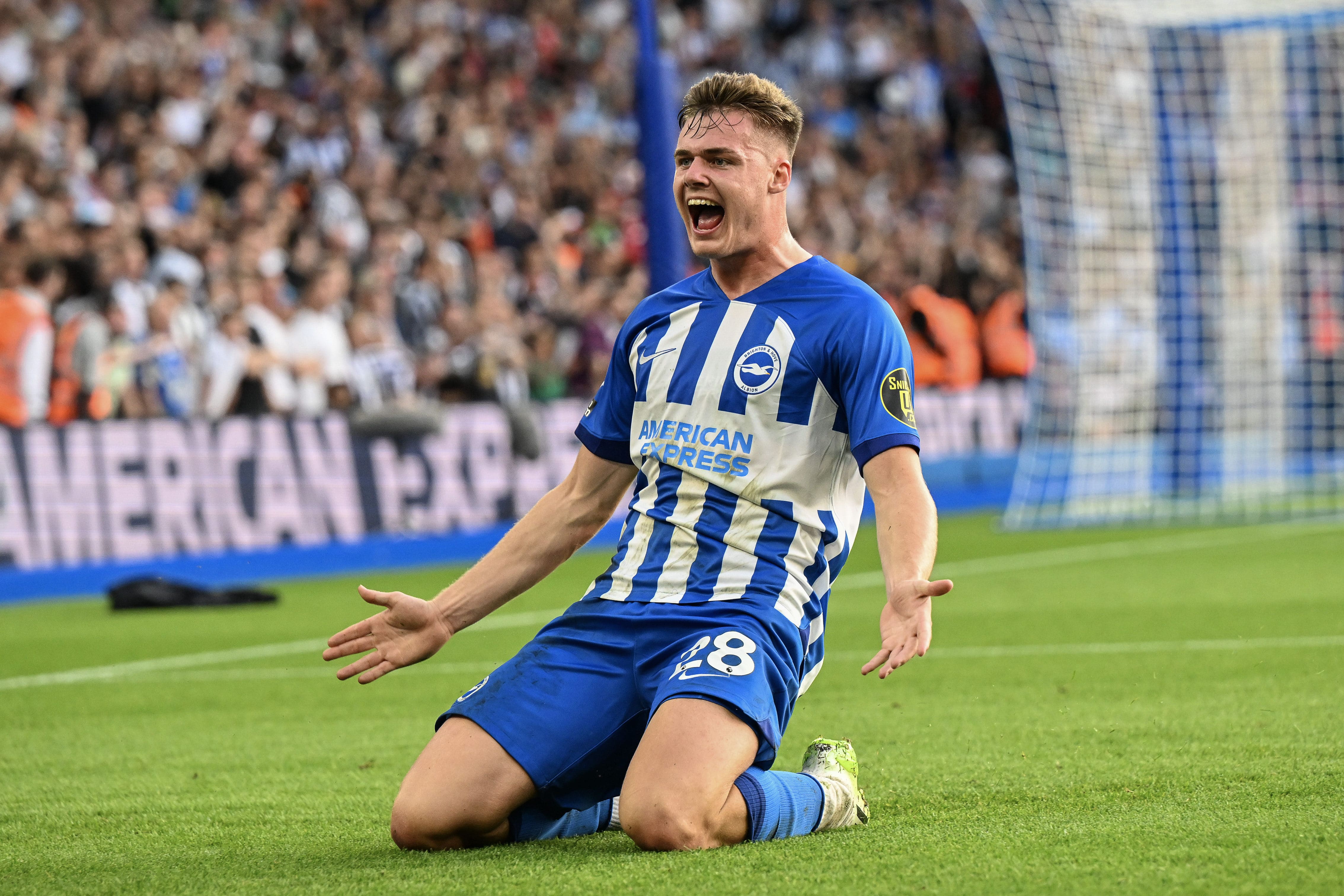 Ferguson explodiu e marcou tr&ecirc;s vezes para o Brighton atropelar o Newcastle