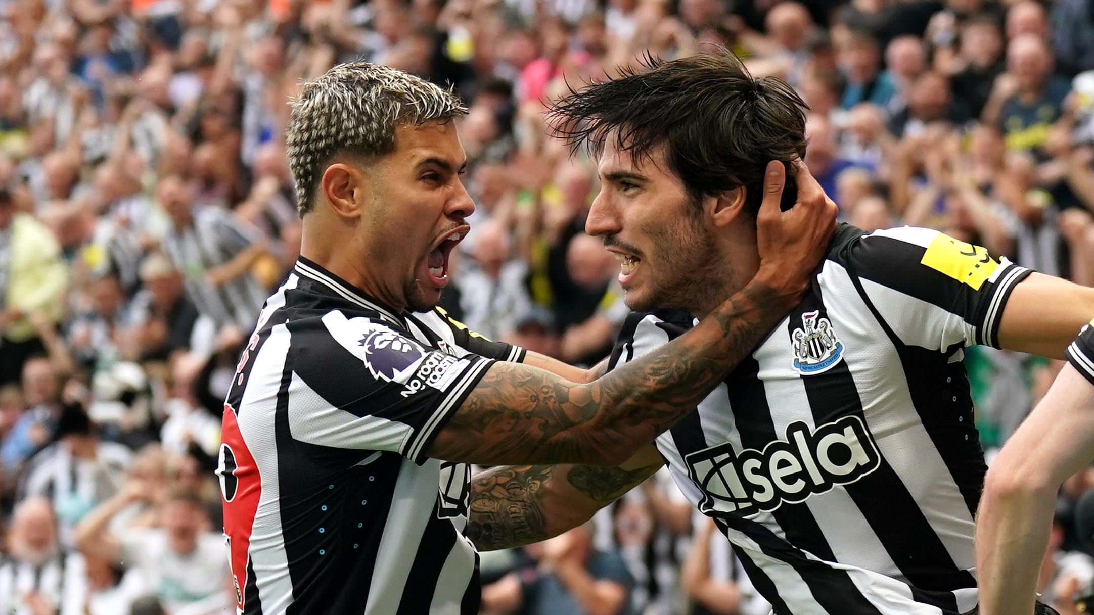 Newcastle pode ter que vender um dos melhores jogadores do elenco ap&oacute;s preju&iacute;zo superior a 70 milh&otilde;es de libras