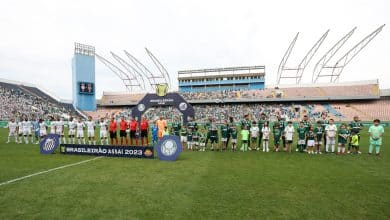 Palmeiras barateia ingresso e mostra entender que hora &eacute; de abra&ccedil;ar a torcida &mdash; resta WTorre fazer igual