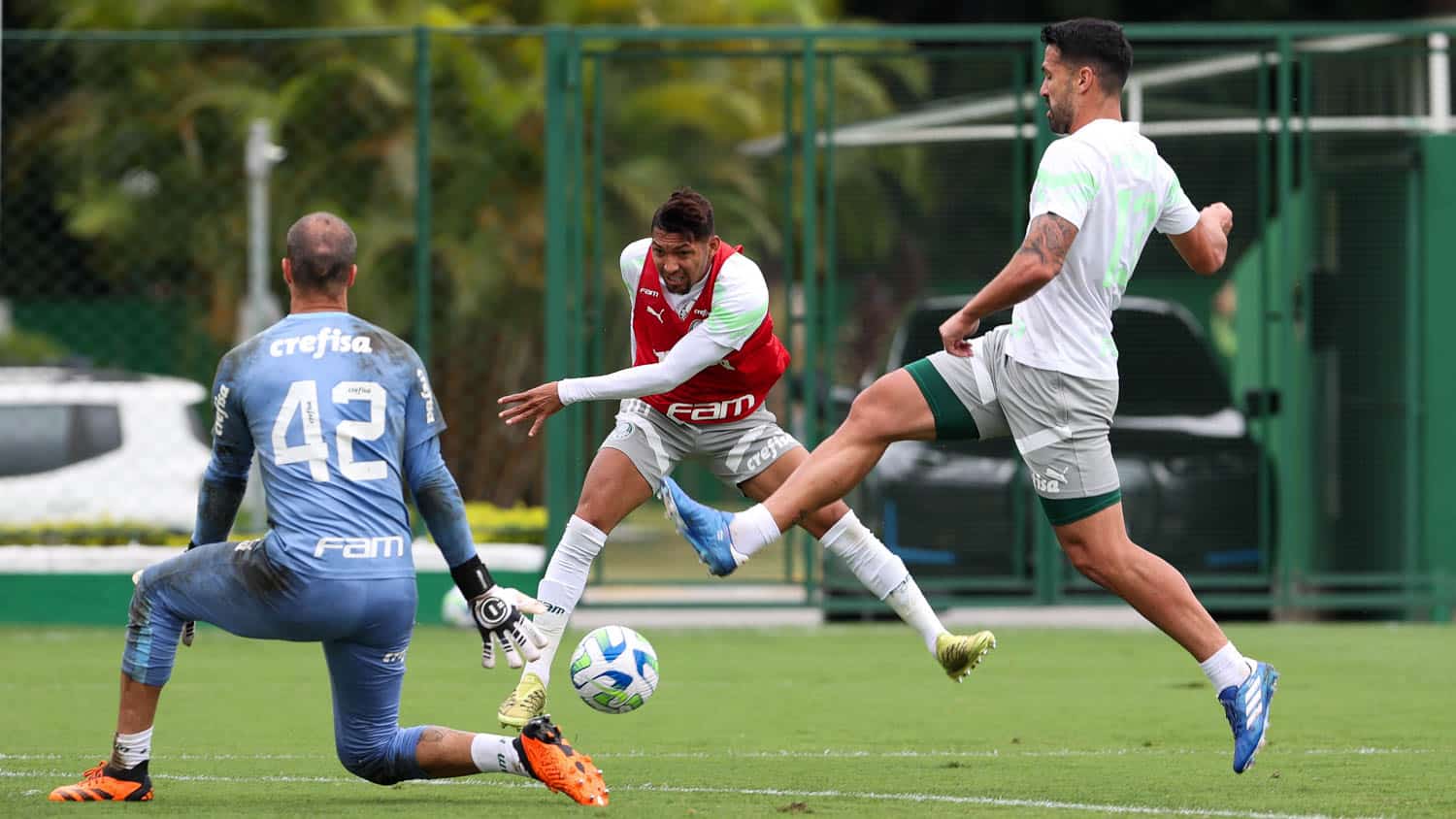 Palmeiras tem 12 finais por G4 e fim de temporada que n&atilde;o complique seu 2024