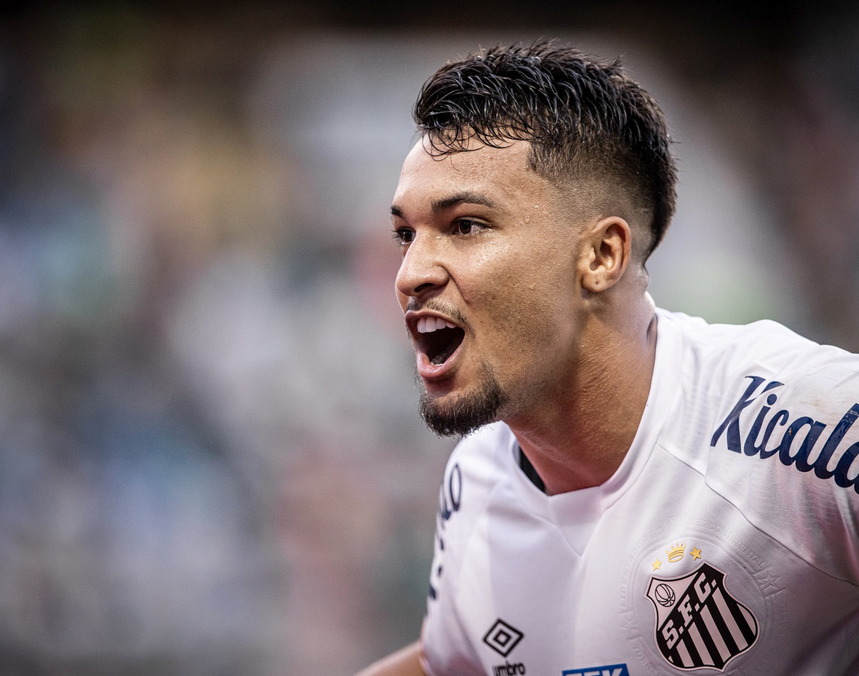 Santos vence o Palmeiras ap&oacute;s quase 4 anos e sai da zona de rebaixamento