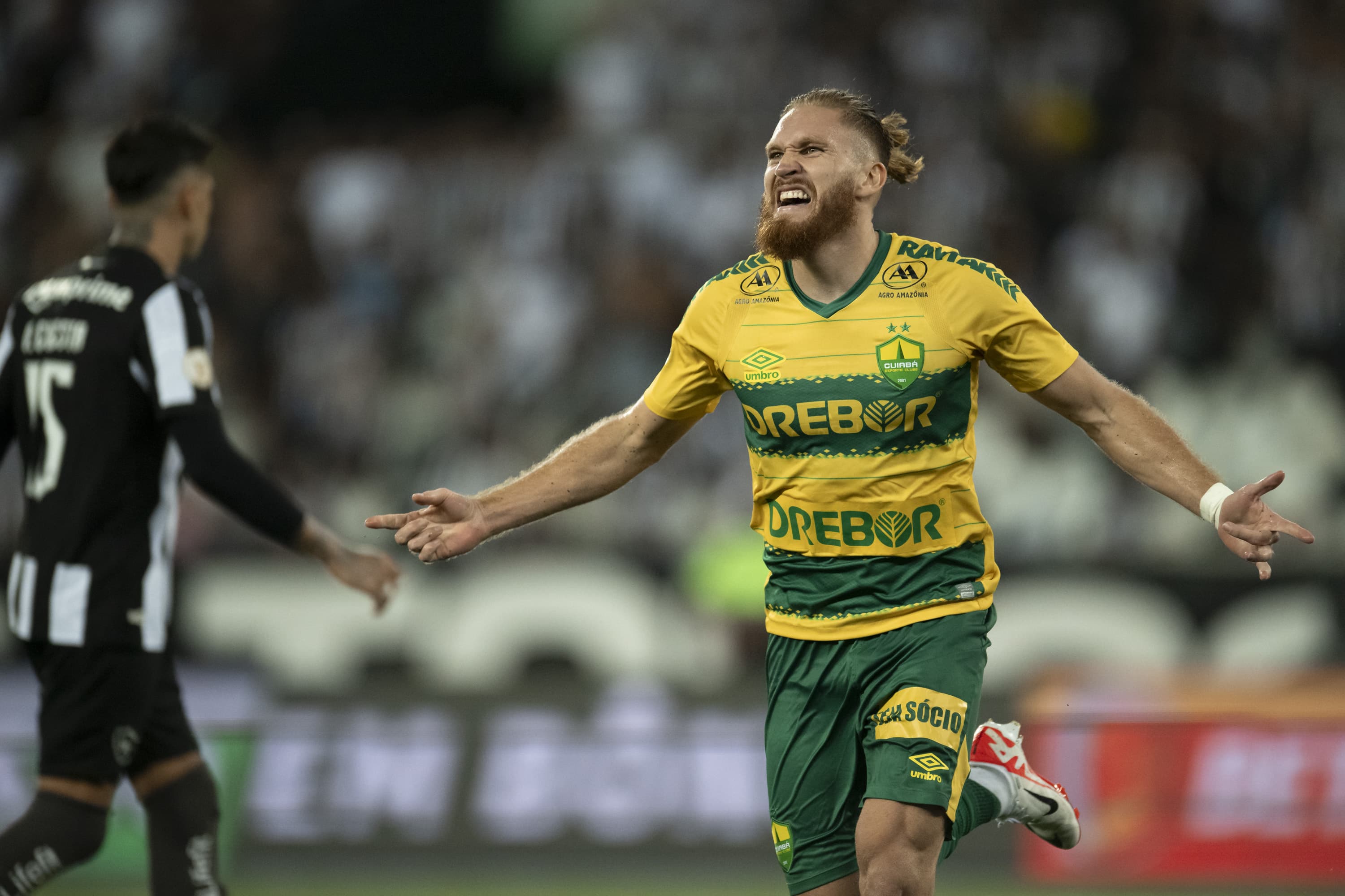 Seneme briga com a imagem ao dizer que toque no bra&ccedil;o de Pitta contra o Botafogo &eacute; &lsquo;inconclusivo&rsquo;