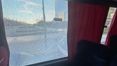 Torcedores do Palmeiras v&atilde;o processar ag&ecirc;ncia por &lsquo;terror&rsquo; e ingresso errado na Argentina