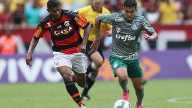 Na ultima vit&oacute;ria do Palmeiras sobre o Flamengo no Maracan&atilde;, Endrick tinha 9 anos e Sheik jogava