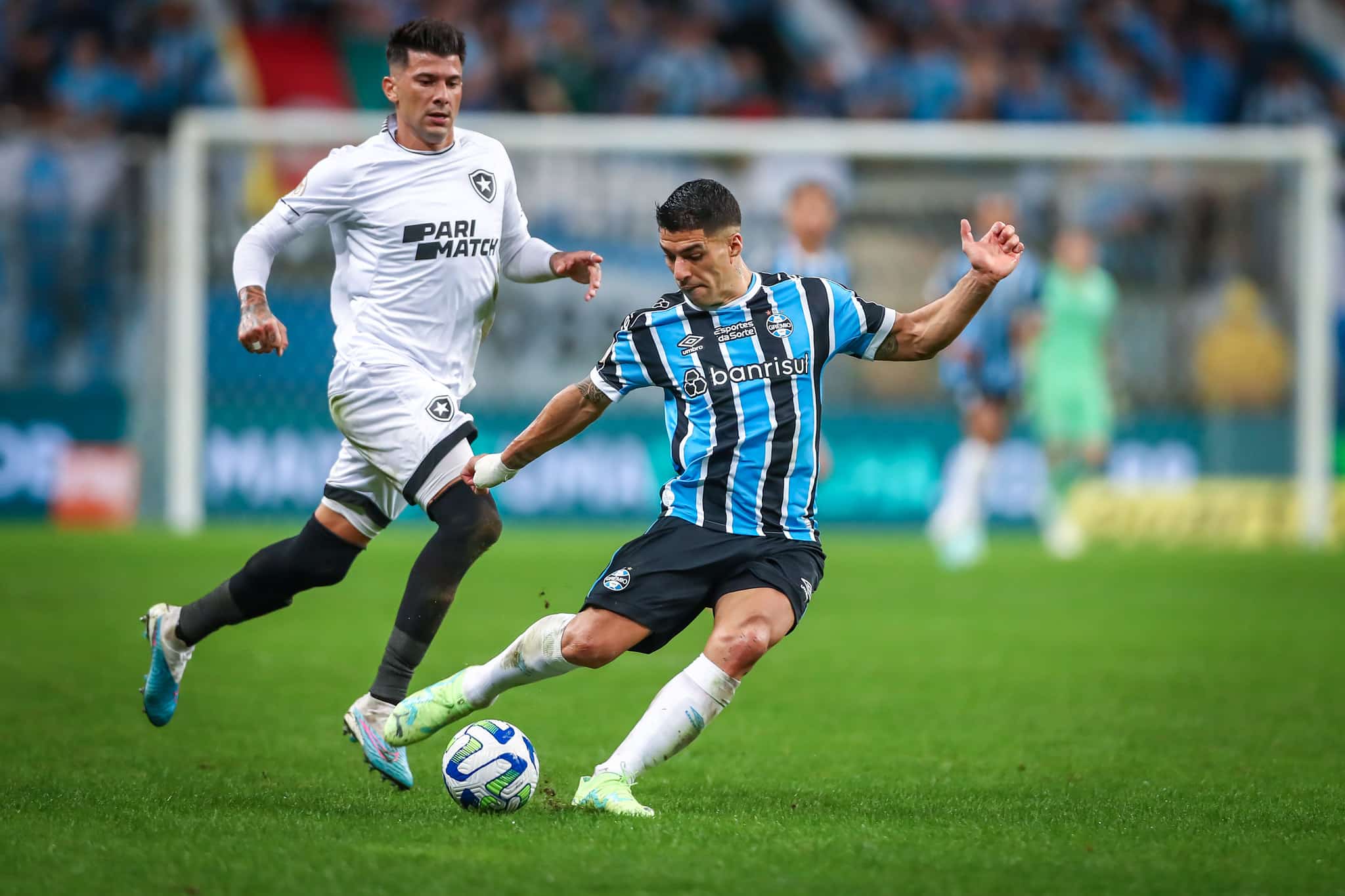 H&aacute; um turno, Botafogo e Gr&ecirc;mio eram distantes; hoje, Tricolor amea&ccedil;a um Glorioso em pane