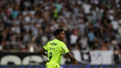 Abel usou Endrick menos do que deveria no Palmeiras? N&uacute;meros dele e dos demais respondem